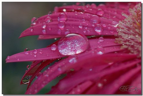 [430345390_a3a64a6ee7[1].jpg]